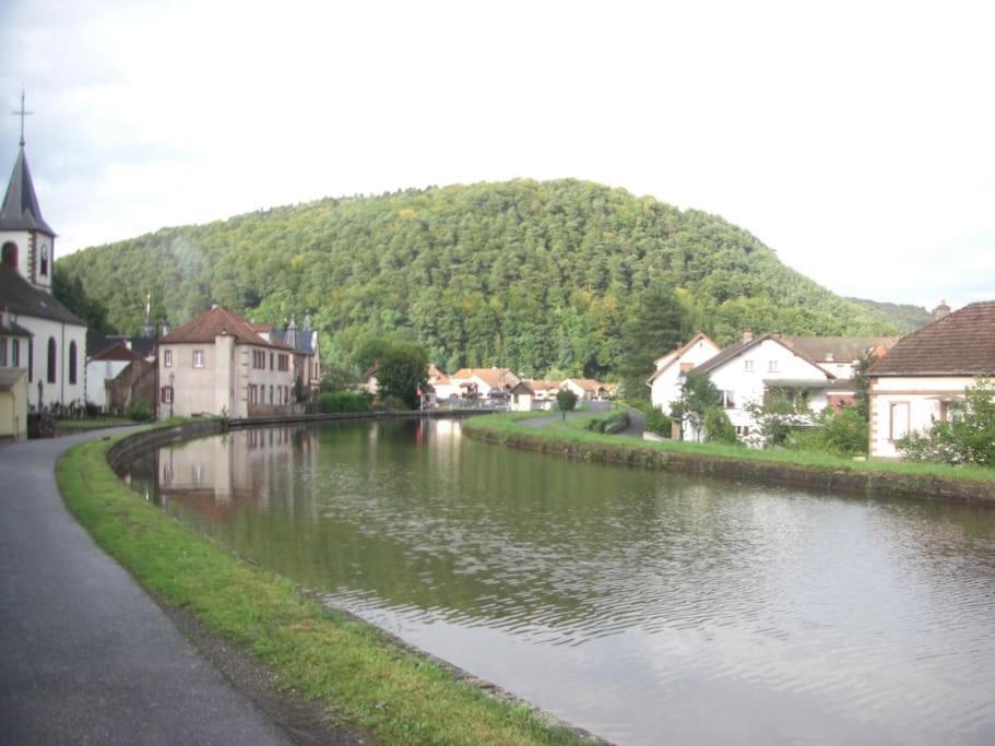 Gite Du Chateau Lutzelbourg Buitenkant foto